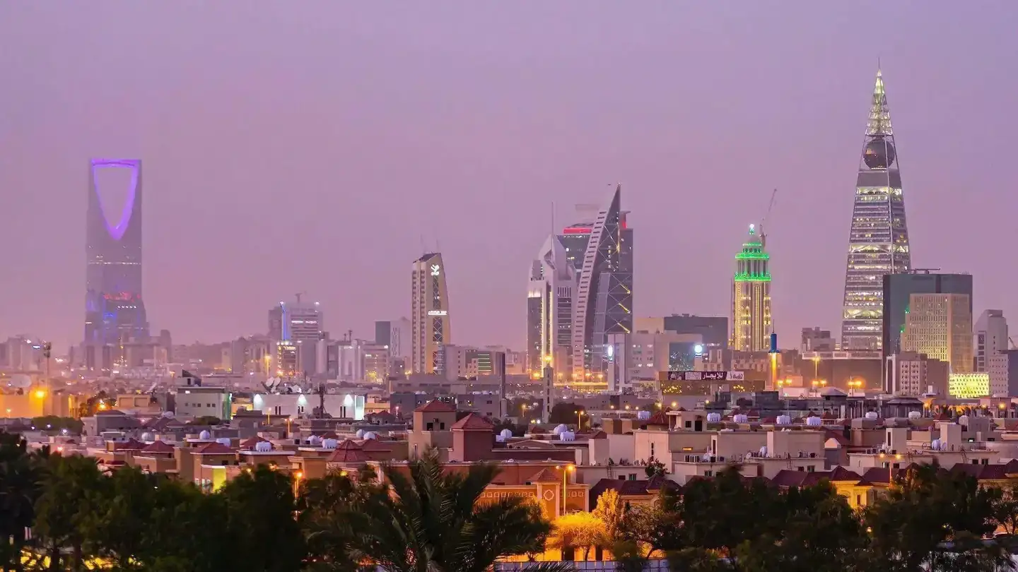 ريادة الخدمات المتميزة للخدمات العامة والاستثمار الأجنبي