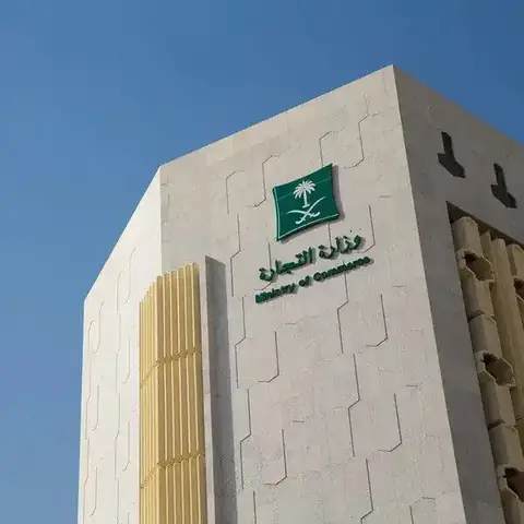 الاستثمار الأجنبي وتأسيس الشركات (MISA)